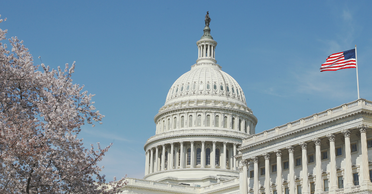 This Week in Immigration: Government Shutdown Disrupts Key Services, DACA May Reopen